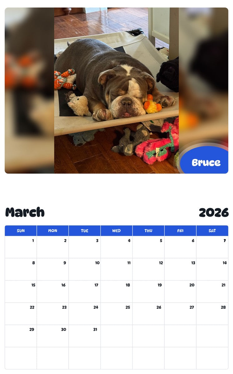 November 2025 - October 2026 Bruce - Pawidols Pet Calendar