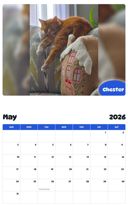 2026 - 2027 Chester - Pawidols Pet Calendar