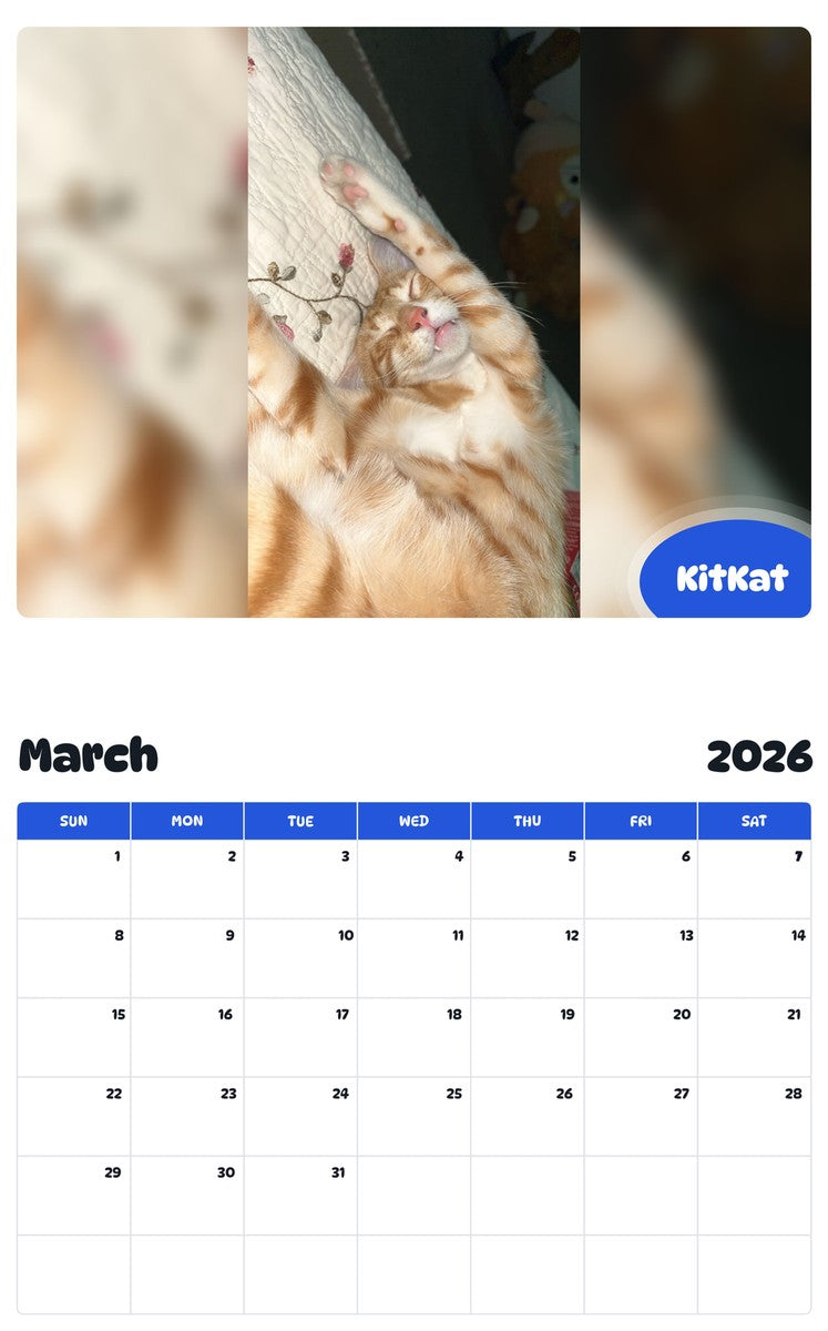 November 2025 - October 2026 KitKat - Pawidols Pet Calendar
