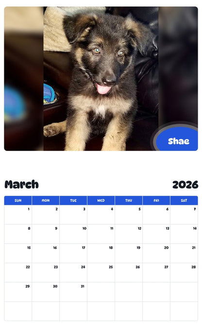 November 2025 - October 2026 Shae - Pawidols Pet Calendar