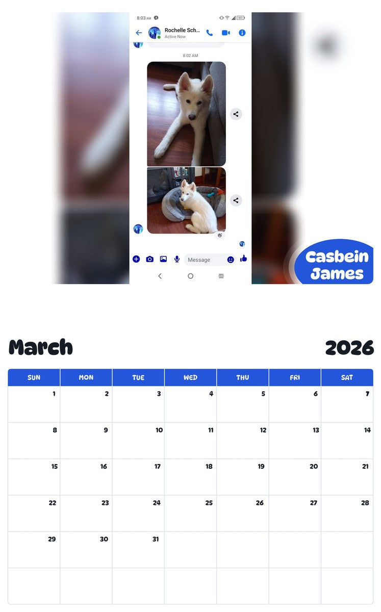 November 2025 - October 2026 Casbein James - Pawidols Pet Calendar