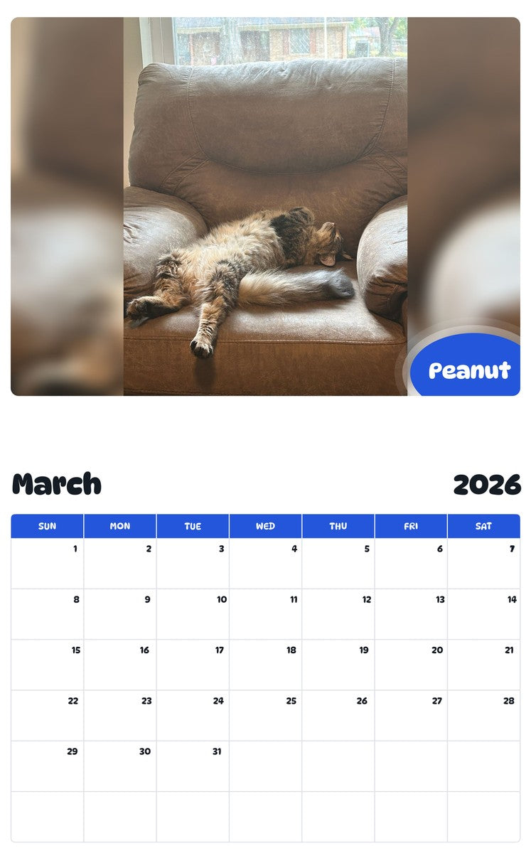 November 2025 - October 2026 Peanut - Pawidols Pet Calendar