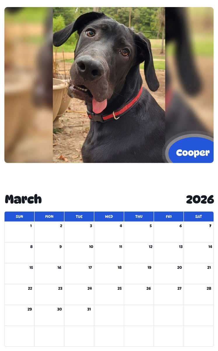 November 2025 - October 2026 Cooper - Pawidols Pet Calendar