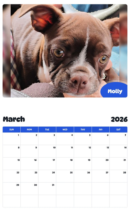 November 2025 - October 2026 Molly - Pawidols Pet Calendar