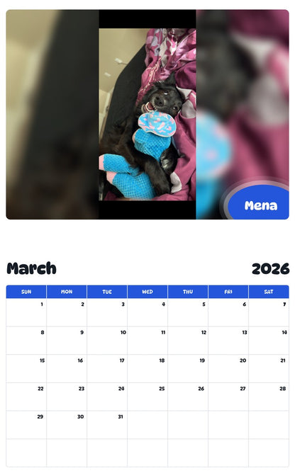 November 2025 - October 2026 Mena - Pawidols Pet Calendar