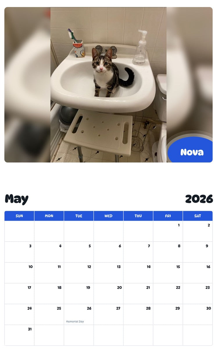 2026 - 2027 Nova - Pawidols Pet Calendar