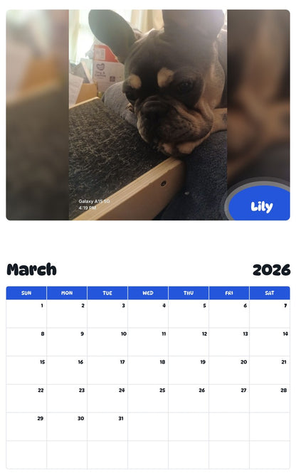 November 2025 - October 2026 Lily - Pawidols Pet Calendar