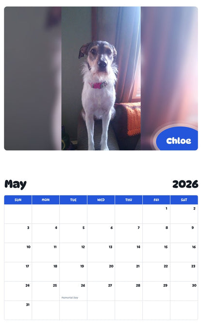 2026 - 2027 Chloe - Pawidols Pet Calendar