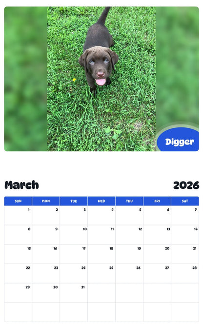 November 2025 - October 2026 Digger - Pawidols Pet Calendar