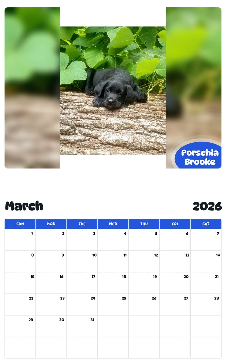 November 2025 - October 2026 Porschia Brooke - Pawidols Pet Calendar