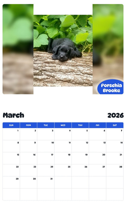 November 2025 - October 2026 Porschia Brooke - Pawidols Pet Calendar