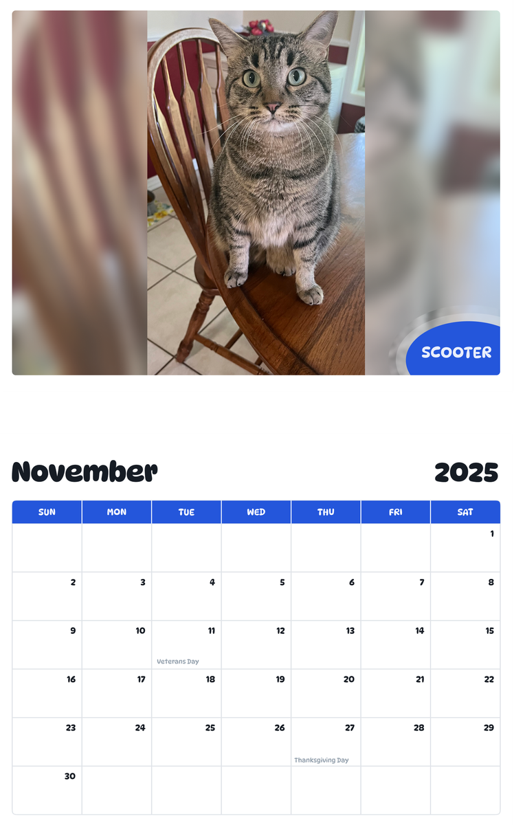 July 2025 - June 2026 Scooter - Pawidols Pet Calendar
