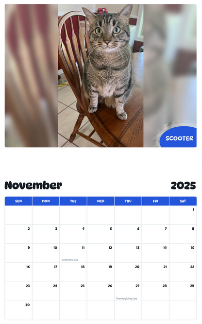 July 2025 - June 2026 Scooter - Pawidols Pet Calendar
