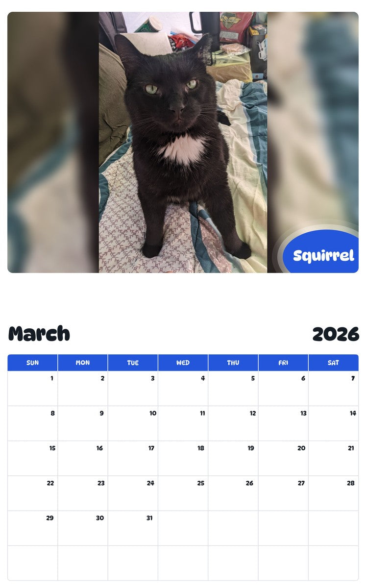 November 2025 - October 2026 Squirrel - Pawidols Pet Calendar