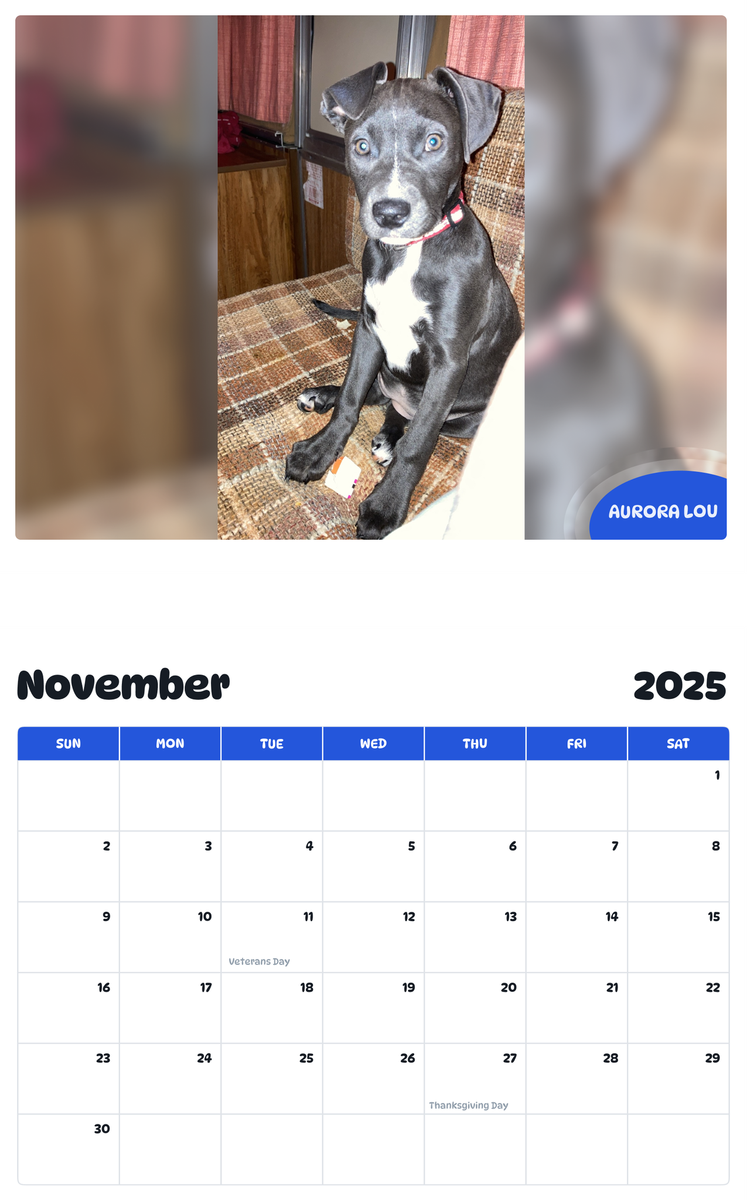 July 2025 - June 2026 Aurora Lou - Pawidols Pet Calendar