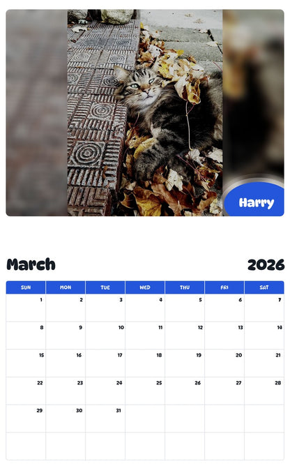 November 2025 - October 2026 Harry - Pawidols Pet Calendar