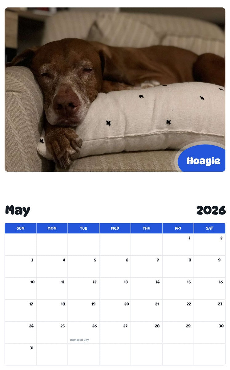 2026 - 2027 Hoagie - Pawidols Pet Calendar