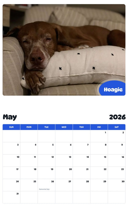 2026 - 2027 Hoagie - Pawidols Pet Calendar