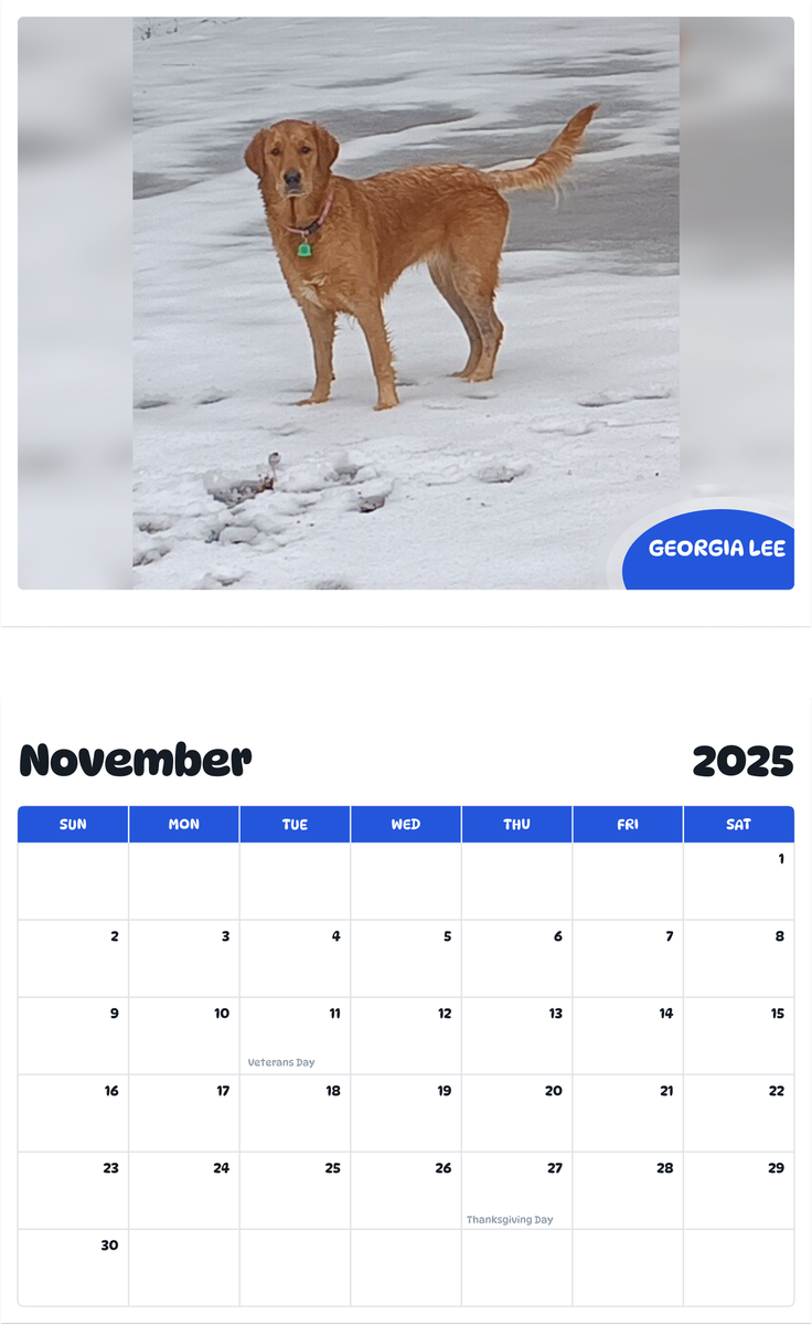 July 2025 - June 2026 Georgia Lee - Pawidols Pet Calendar