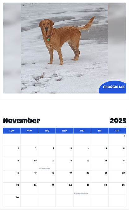 July 2025 - June 2026 Georgia Lee - Pawidols Pet Calendar