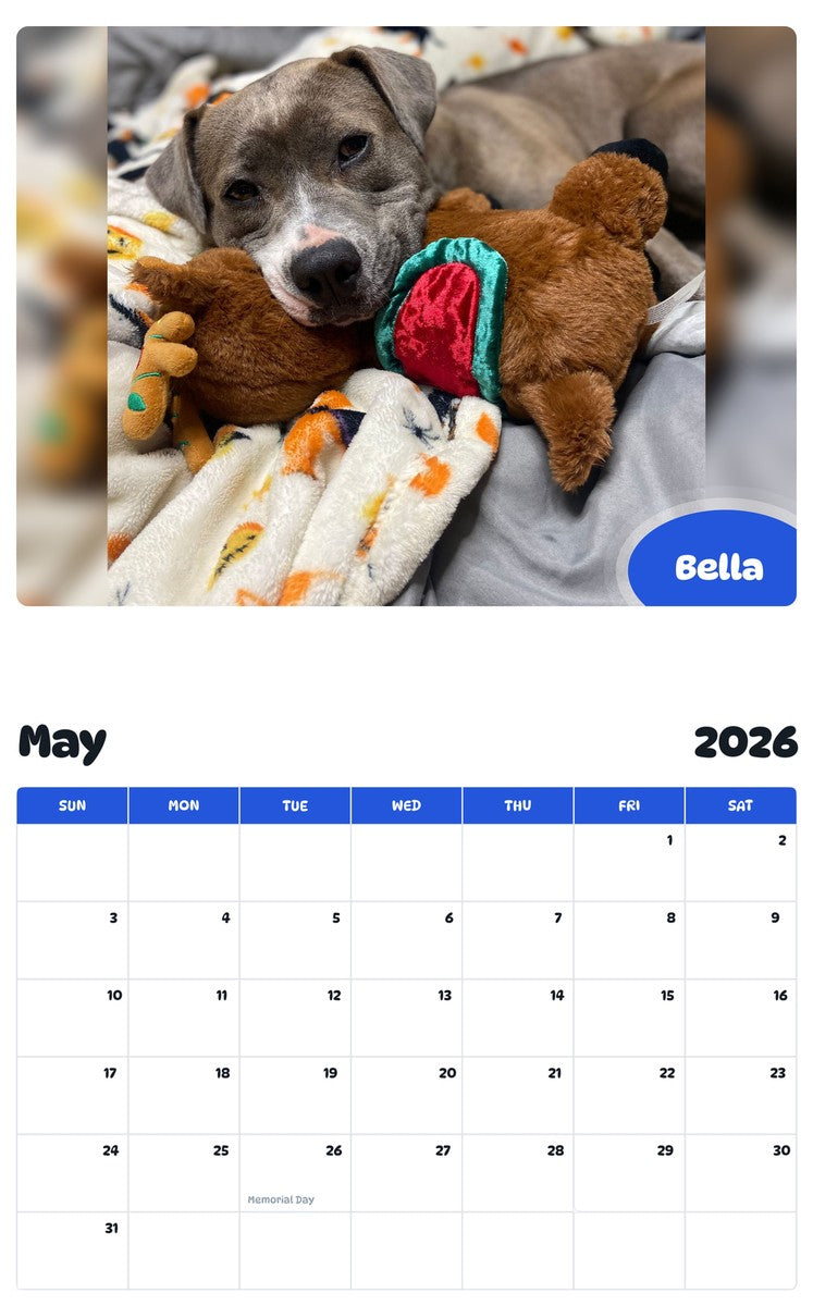 2026 - 2027 Bella - Pawidols Pet Calendar