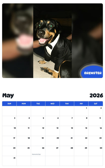 2026 - 2027 BREWSTER - Pawidols Pet Calendar