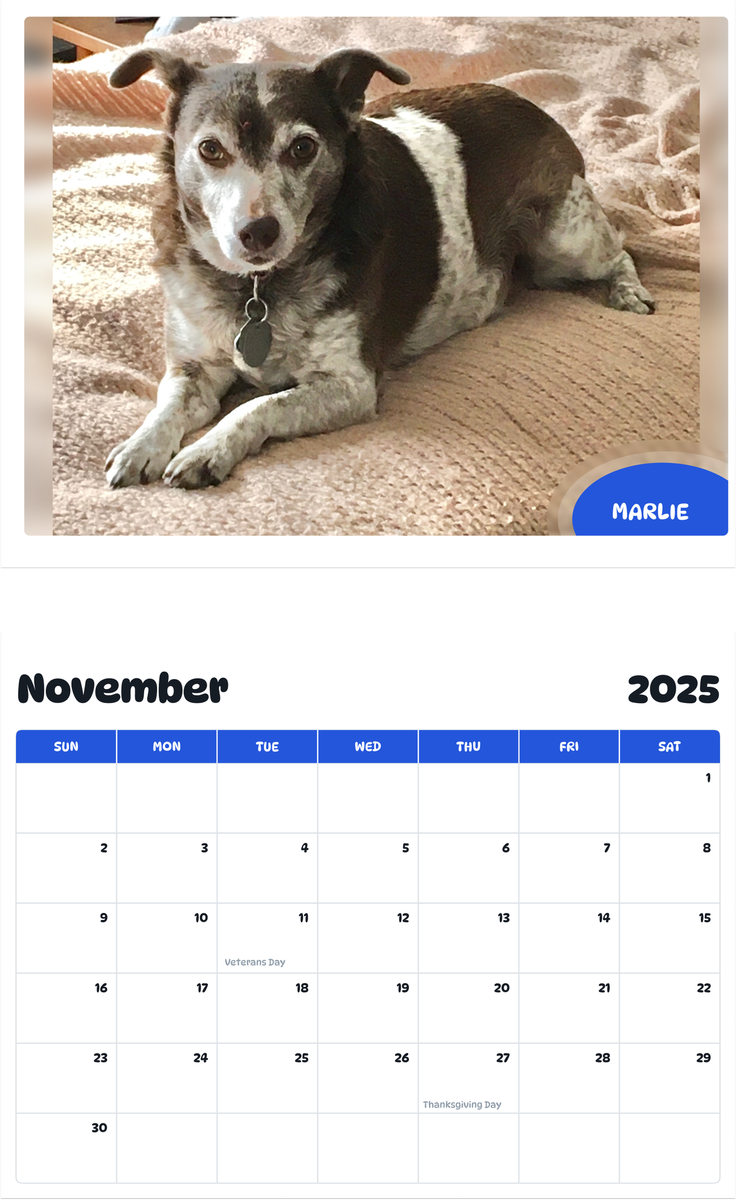 July 2025 - June 2026 Marlie - Pawidols Pet Calendar