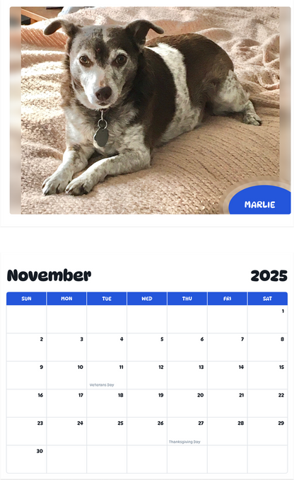 July 2025 - June 2026 Marlie - Pawidols Pet Calendar