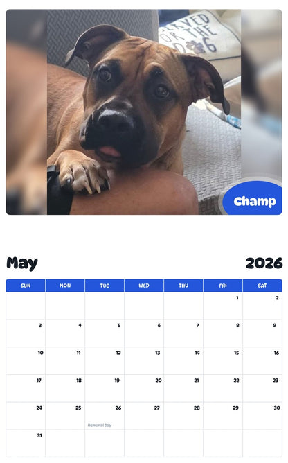 2026 - 2027 Champ - Pawidols Pet Calendar
