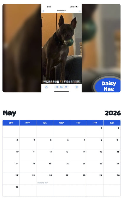 2026 - 2027 Daisy Mae - Pawidols Pet Calendar