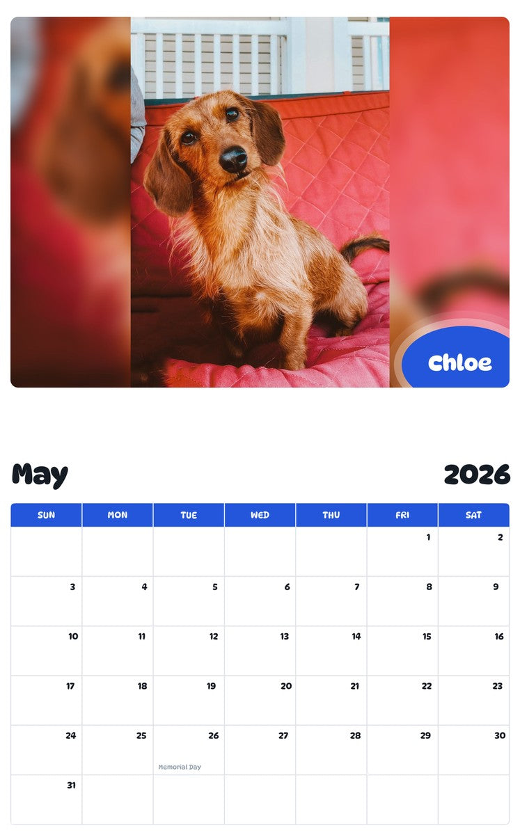 2026 - 2027 Chloe - Pawidols Pet Calendar