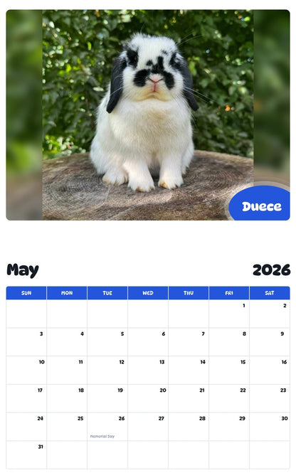 2026 - 2027 Duece - Pawidols Pet Calendar