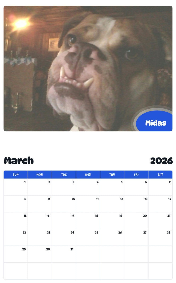 November 2025 - October 2026 Midas - Pawidols Pet Calendar