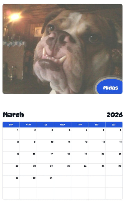 November 2025 - October 2026 Midas - Pawidols Pet Calendar