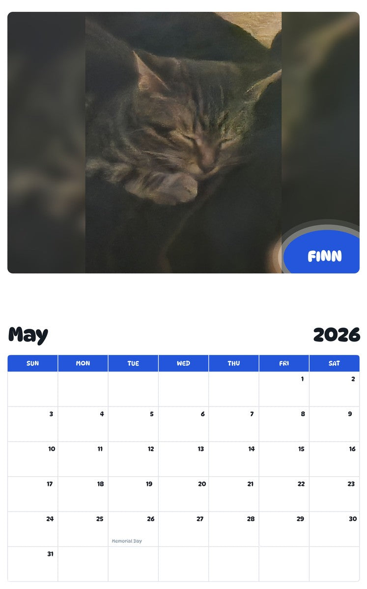 2026 - 2027 FINN - Pawidols Pet Calendar
