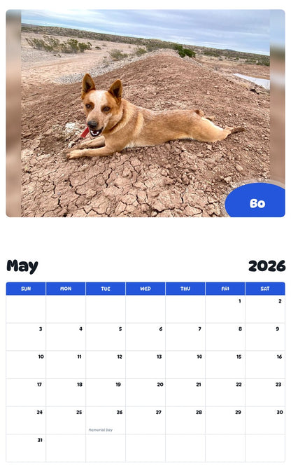 2026 - 2027 Bo - Pawidols Pet Calendar