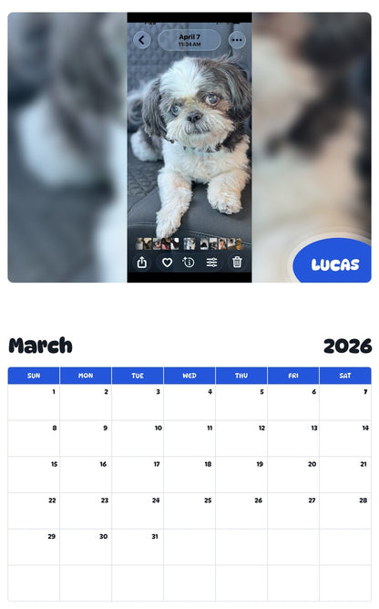 November 2025 - October 2026 LUCAS - Pawidols Pet Calendar