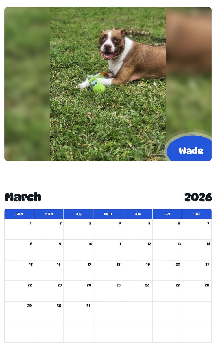 November 2025 - October 2026 Wade - Pawidols Pet Calendar