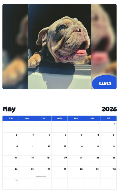 2026 - 2027 Luna - Pawidols Pet Calendar
