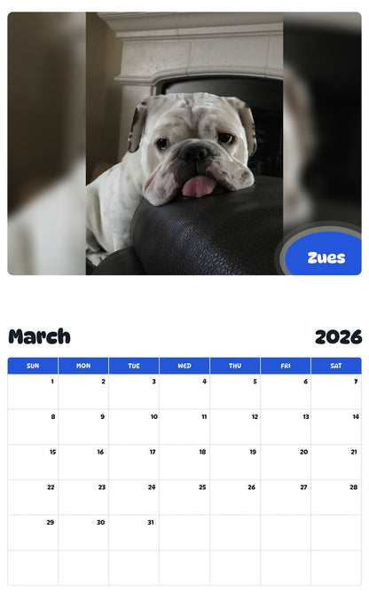 November 2025 - October 2026 Zues - Pawidols Pet Calendar
