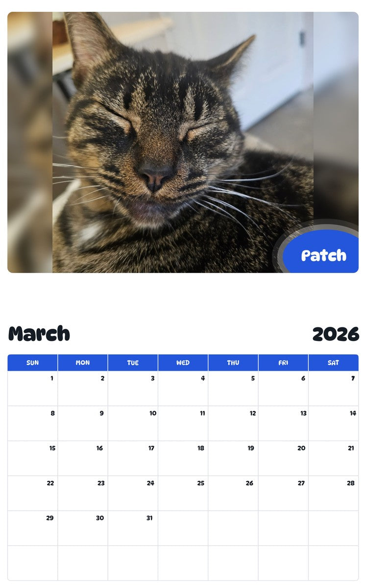 November 2025 - October 2026 Patch - Pawidols Pet Calendar