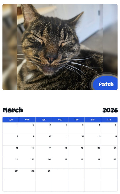November 2025 - October 2026 Patch - Pawidols Pet Calendar