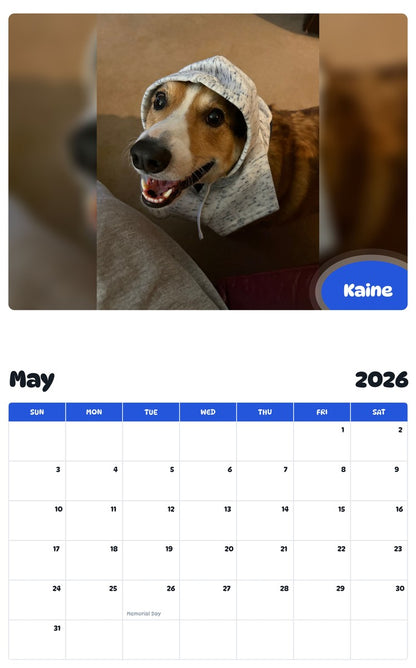 2026 - 2027 Kaine - Pawidols Pet Calendar