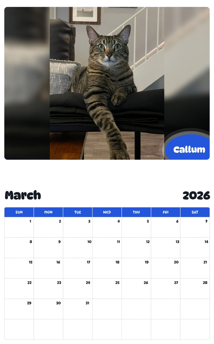 November 2025 - October 2026 Callum - Pawidols Pet Calendar