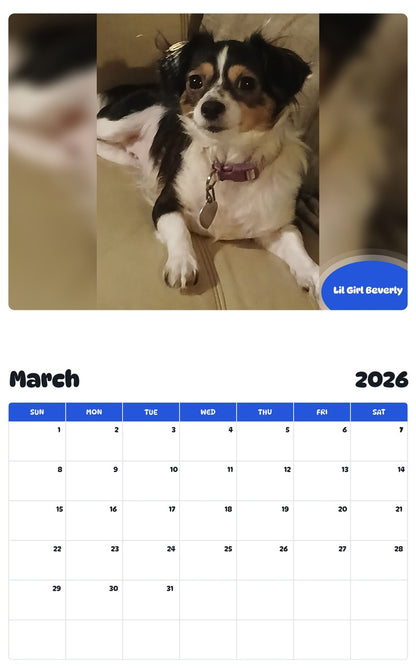 November 2025 - October 2026 Lil Girl Beverly - Pawidols Pet Calendar