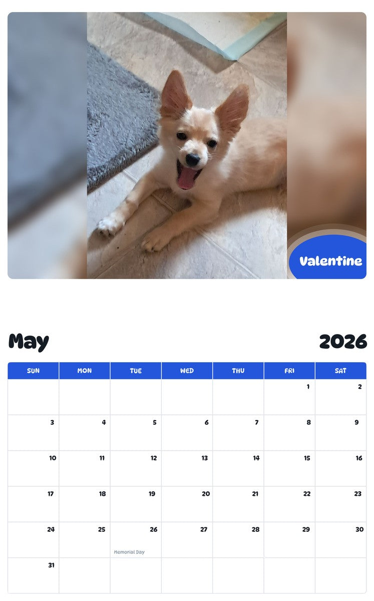 2026 - 2027 Valentine - Pawidols Pet Calendar