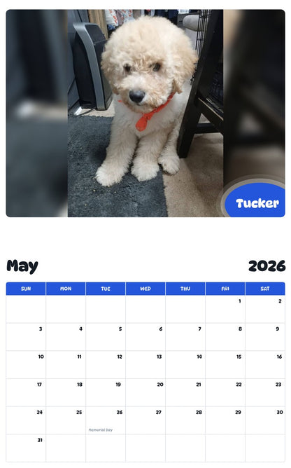 2026 - 2027 Tucker - Pawidols Pet Calendar