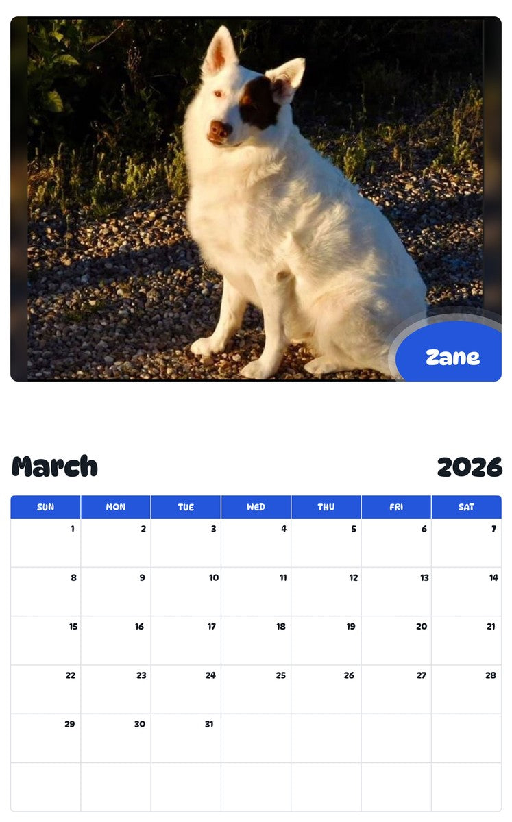 November 2025 - October 2026 Zane - Pawidols Pet Calendar