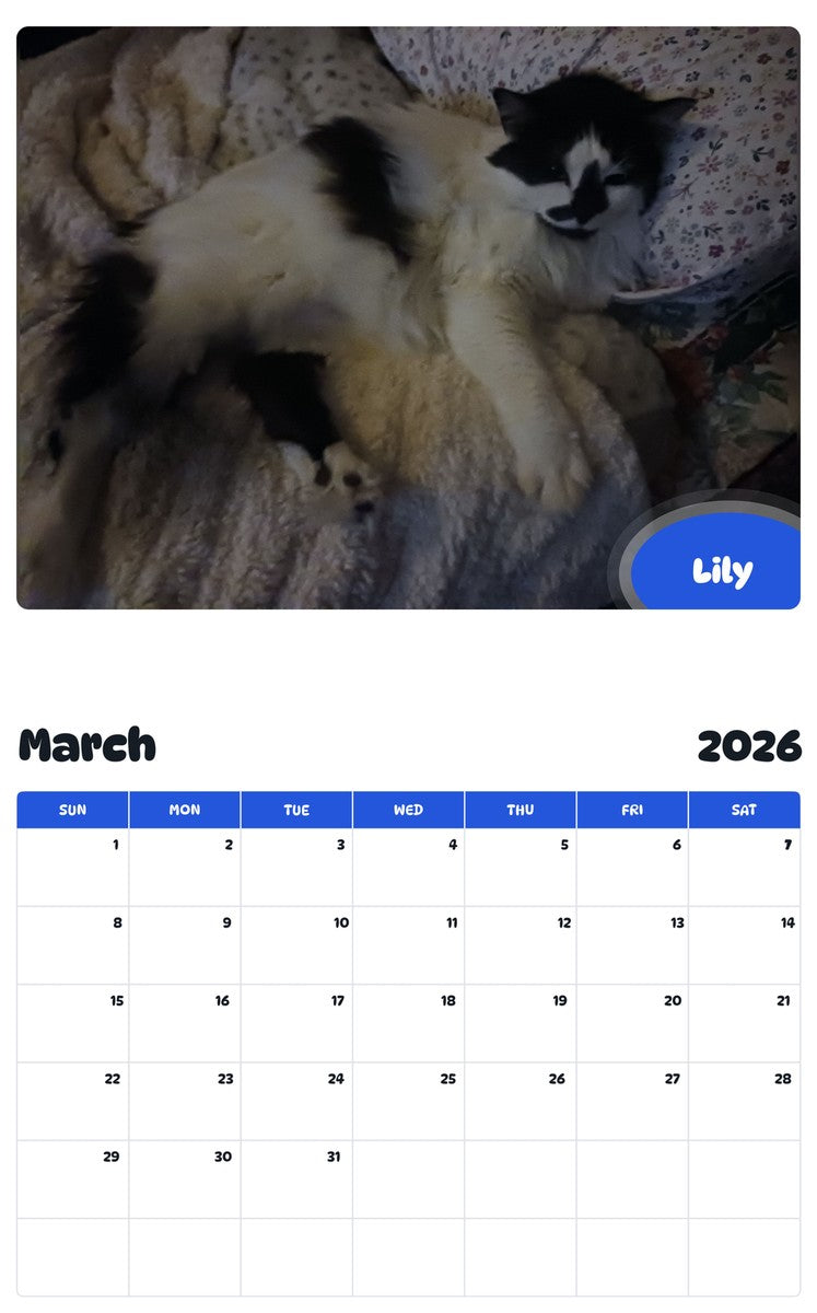 November 2025 - October 2026 Lily - Pawidols Pet Calendar