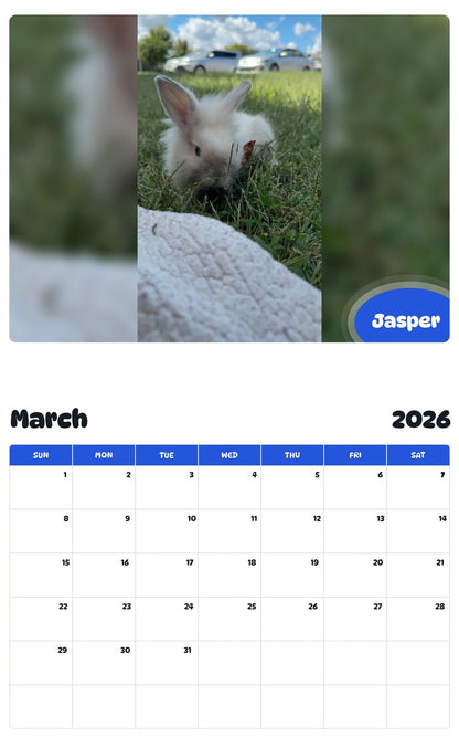 November 2025 - October 2026 Jasper - Pawidols Pet Calendar
